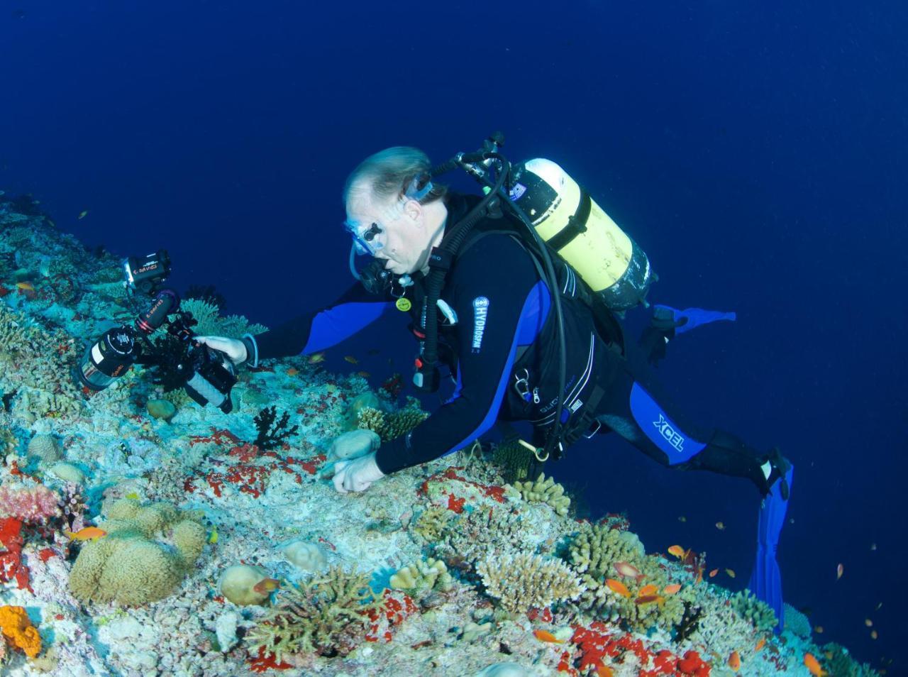 Отель South Ari Dive Center Дангети Экстерьер фото