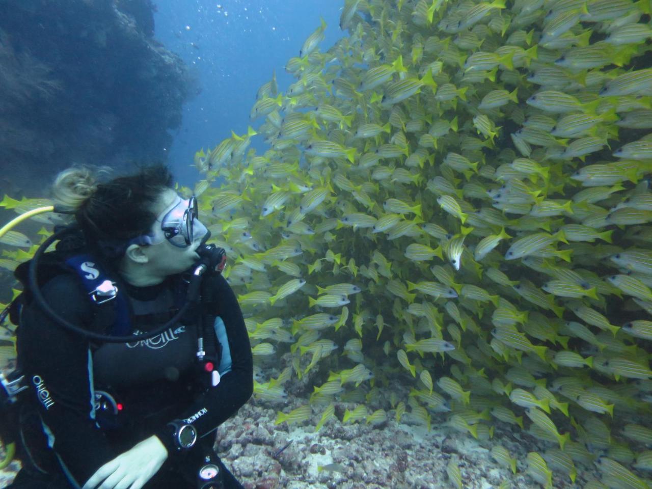 Отель South Ari Dive Center Дангети Экстерьер фото