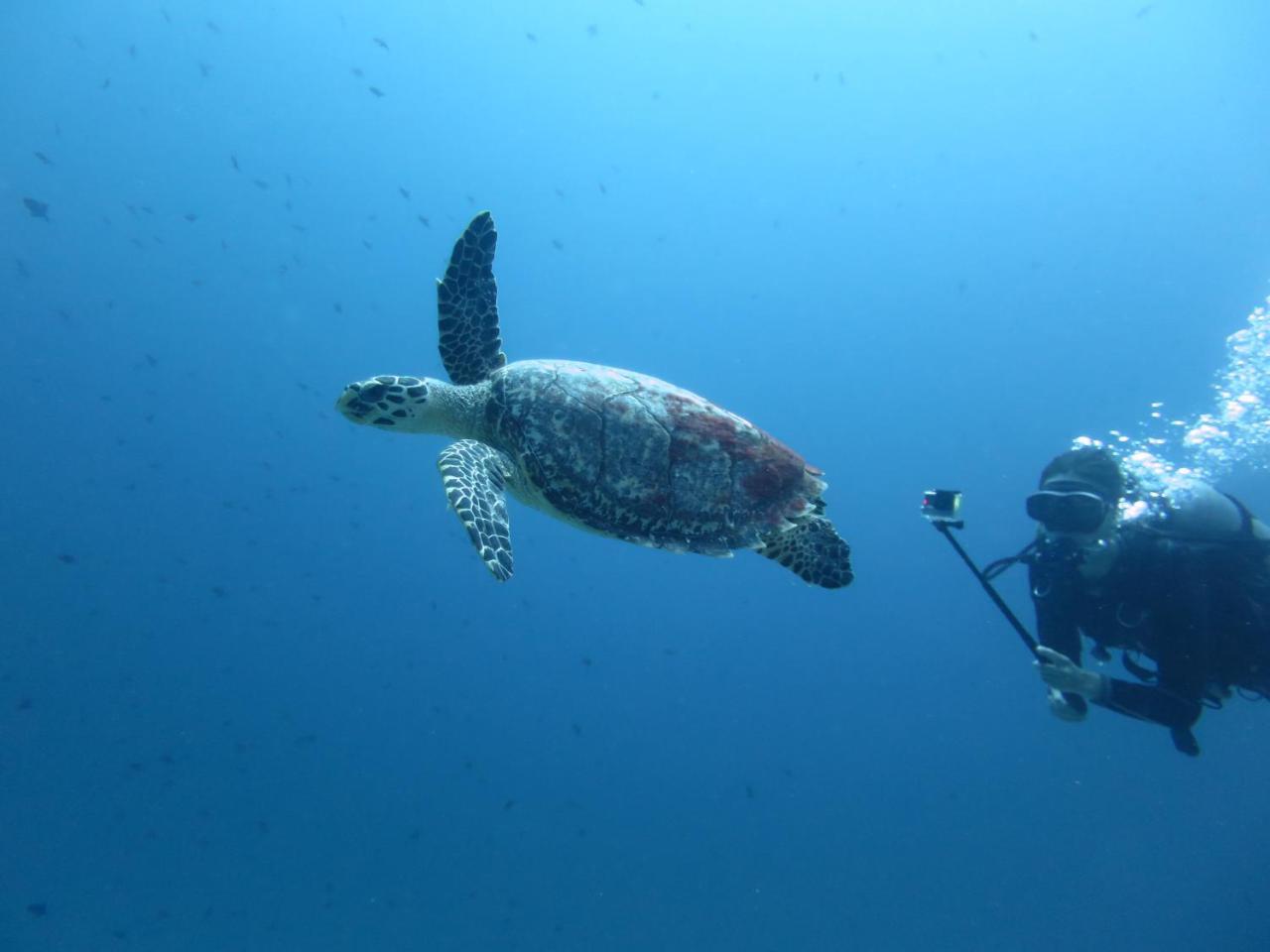 Отель South Ari Dive Center Дангети Экстерьер фото